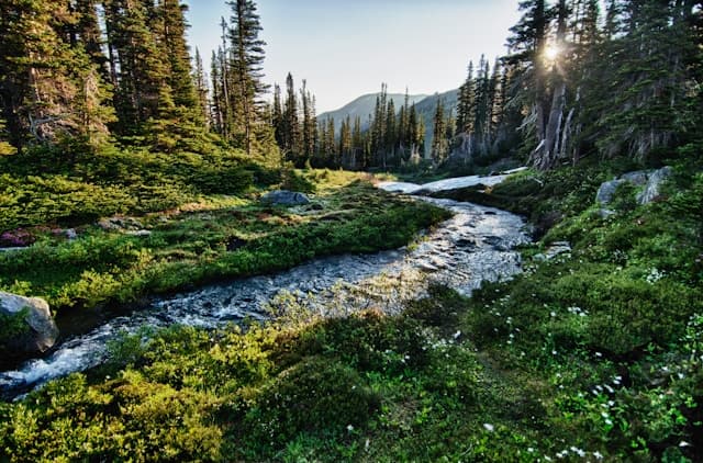 Olympic National Park